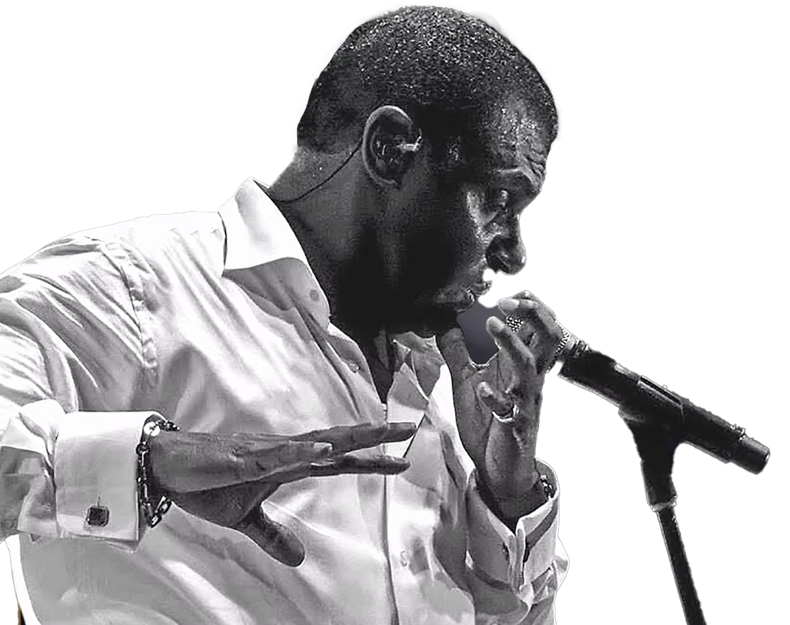 El Canario Silhouette