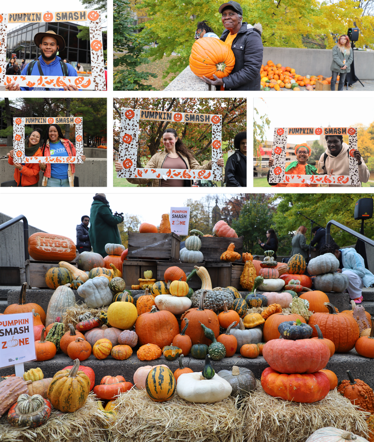 Pumpkins gourds and squash at the quad