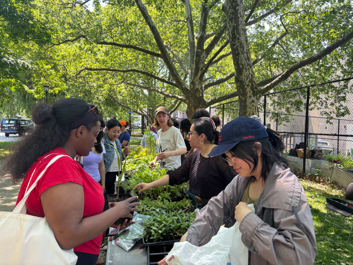 People at table looking at plants