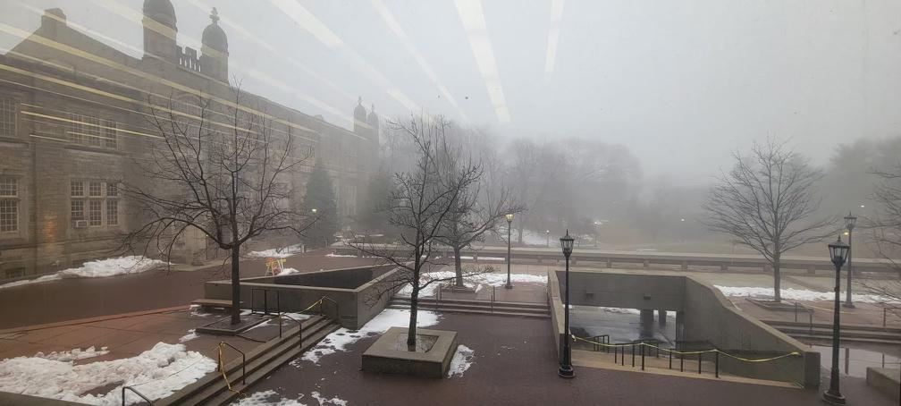 Foggy View from the Library