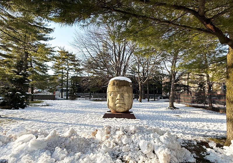 Snowy photo of Olmec head
