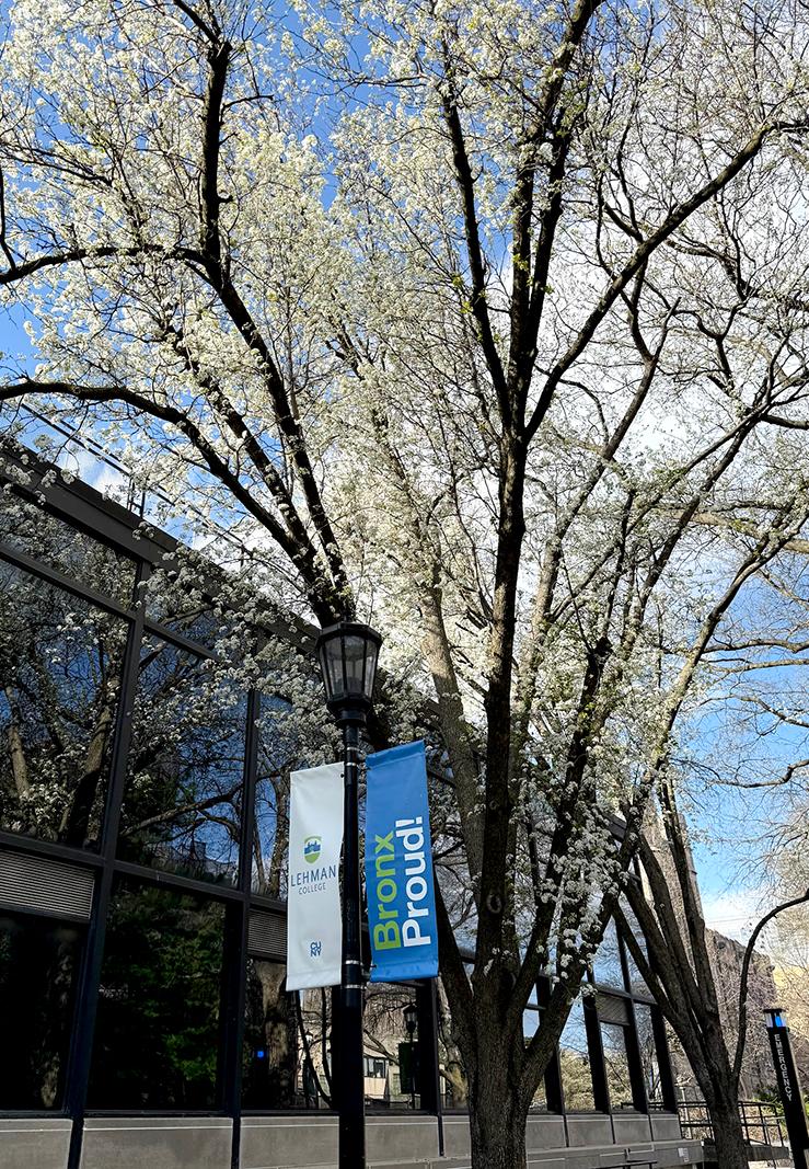Bronx Proud banner in front of a flowering tree in front of the art gallery