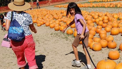 Pumpkin Patch Preschool 2010