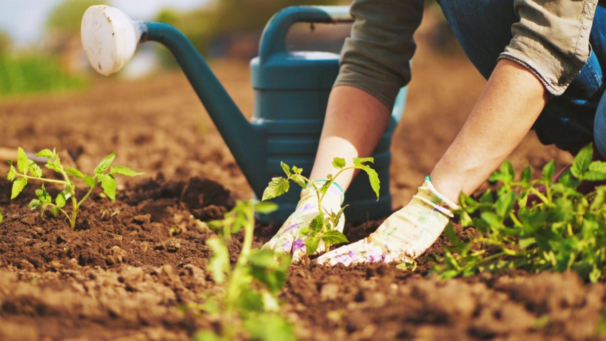 gardening.jpg