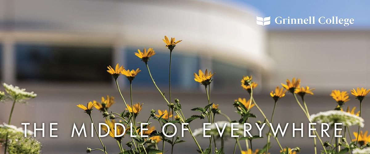 Bucksbaum seen througha field of blooming daisies