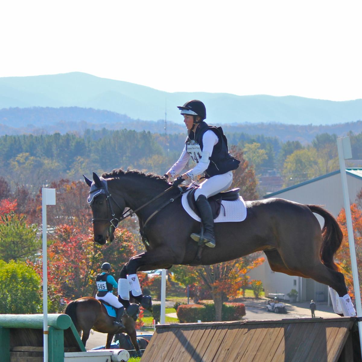 Virginia Horse Center Foundation Fall 2022 Newsletter