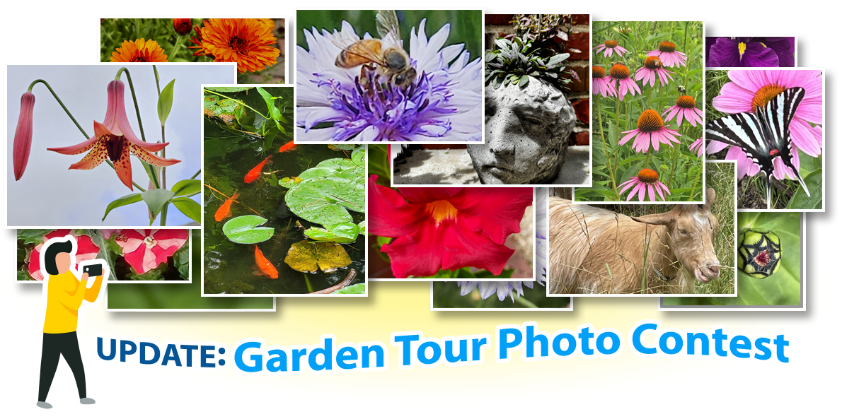 Update: Garden Tour Photo Contest