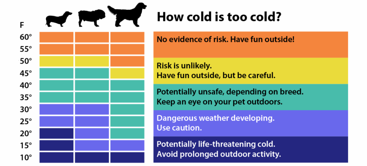 How cold is too cold? Chart showing cold safety for animals.