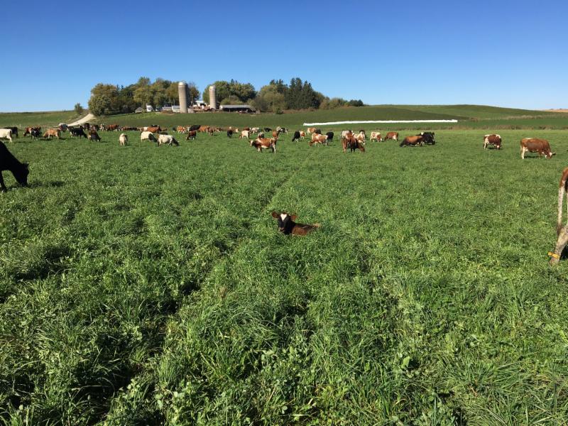 Iroquois Valley Farmland REIT Investment Offering