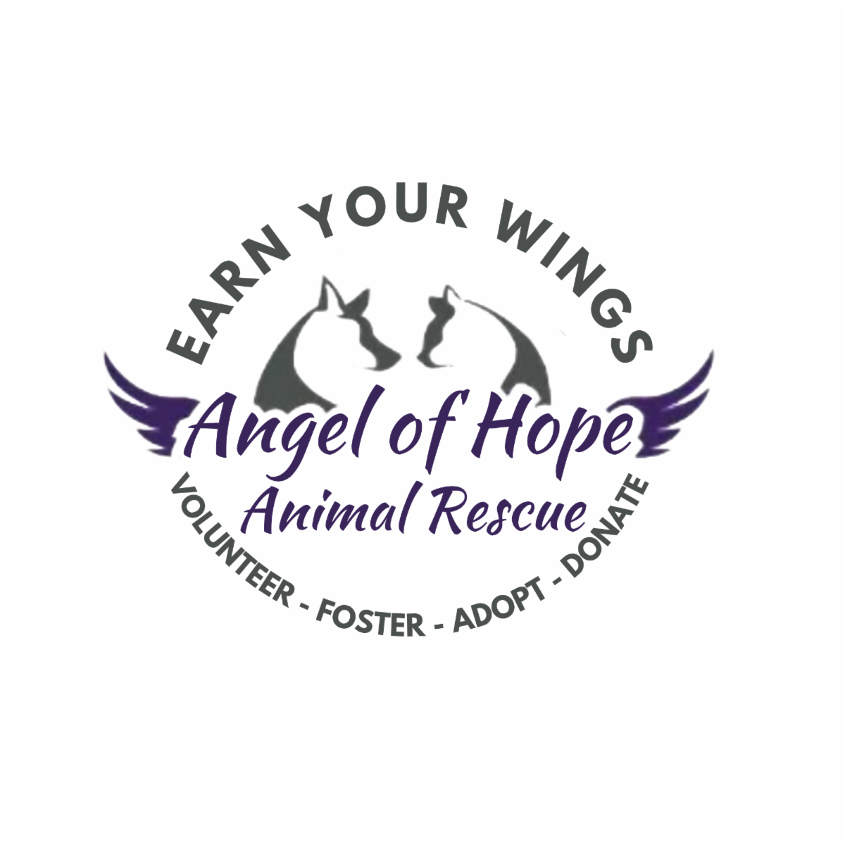 VOlunteer_-_FOster_-_Adopt_p1.png
