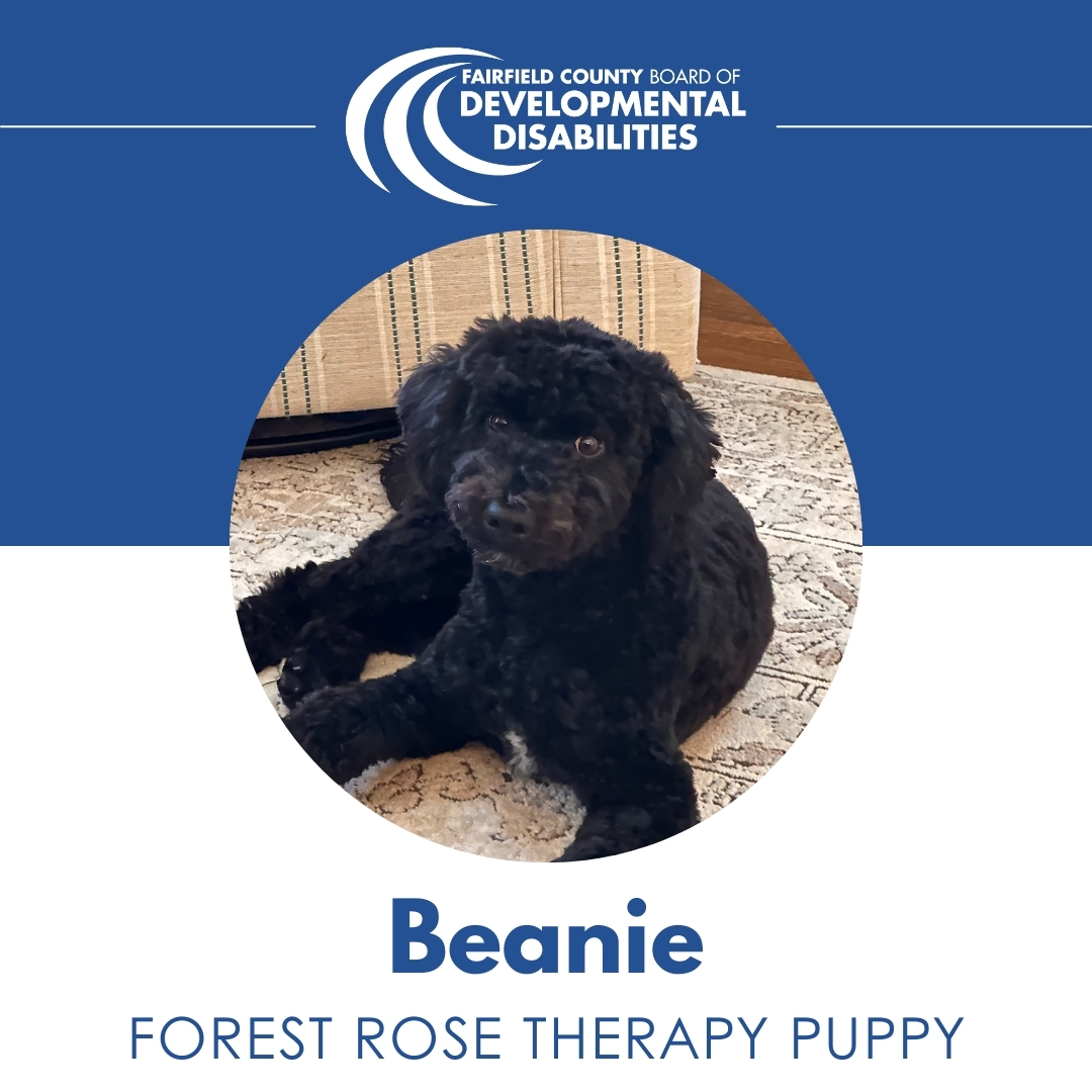 Feature position.jpg