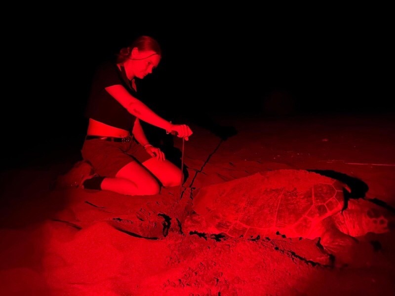 Melissa Vezard with a turtle.jpg