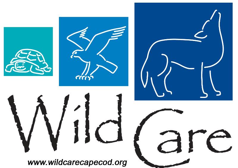 Wild Care Logo 2011