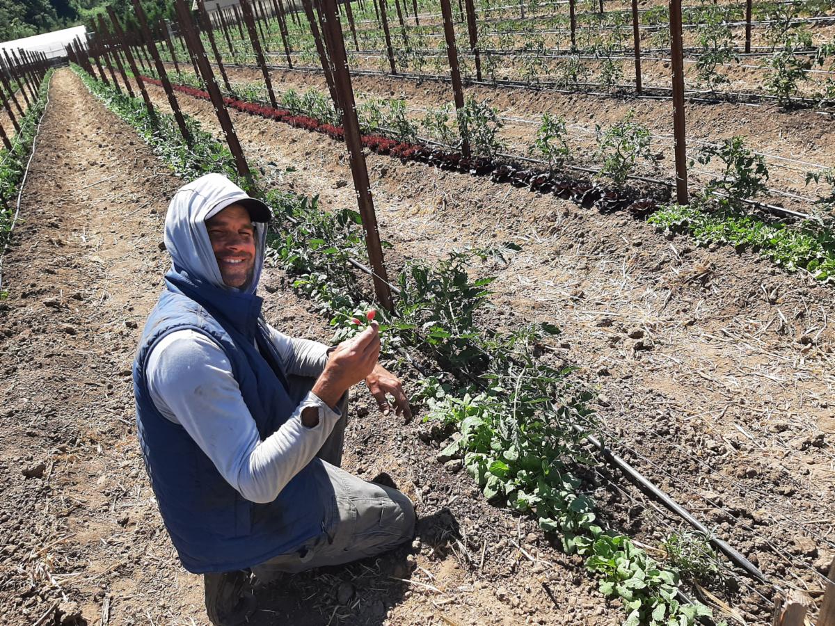 Dave Pew working on the farm