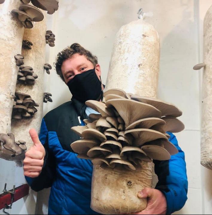 mulligans garden 1.jpg