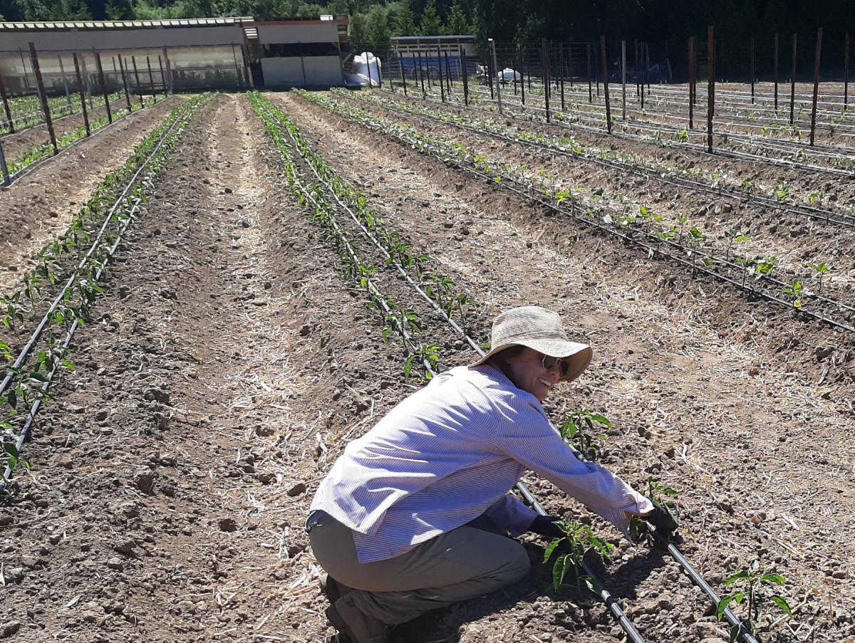 Sophie Short working on the farm