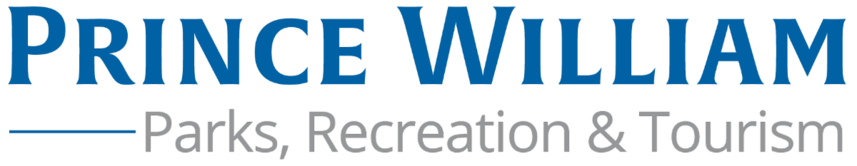 DPRT Wordmark RGB.png