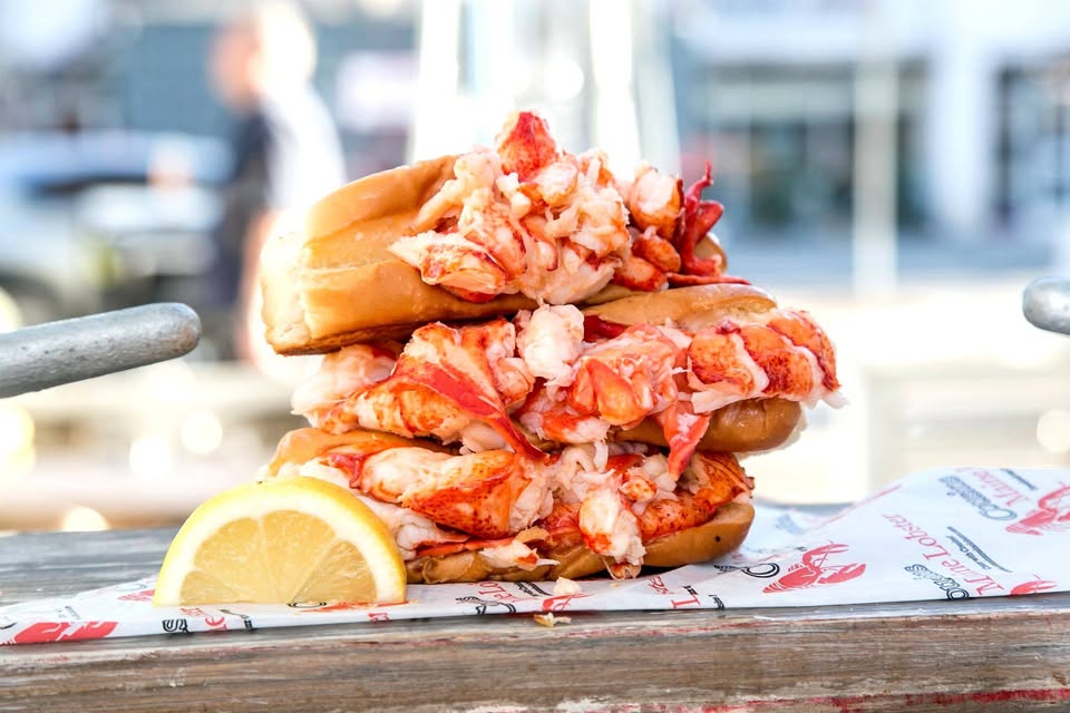 a plate of lobster rolls