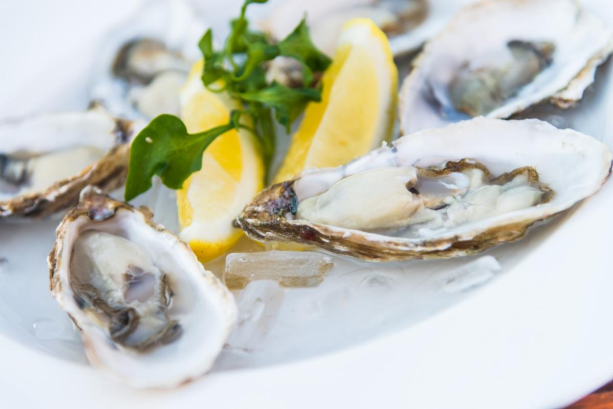 oysters on the half shell