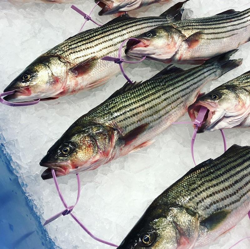 Easter Fish Deals Fresh Local Rockfish, MahiMahi & Virginia Lamb!