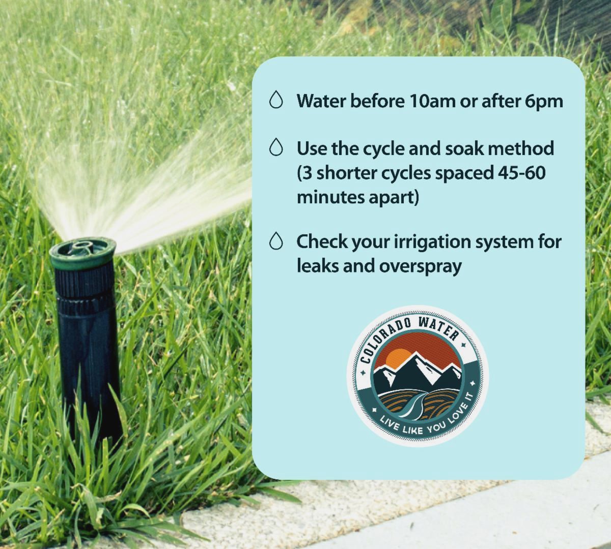 A sprinkler spraying water on a green lawn next to a light blue text overlay card. The card features water droplet icons next to three lawn watering tips: "Water before 10am or after 6pm," "Use the cycle and soak method (3 shorter cycles spaced 45-60 minutes apart)," and "Check your irrigation system for leaks and overspray." Below the tips is the "Colorado Water - Live Like You Love It" logo.