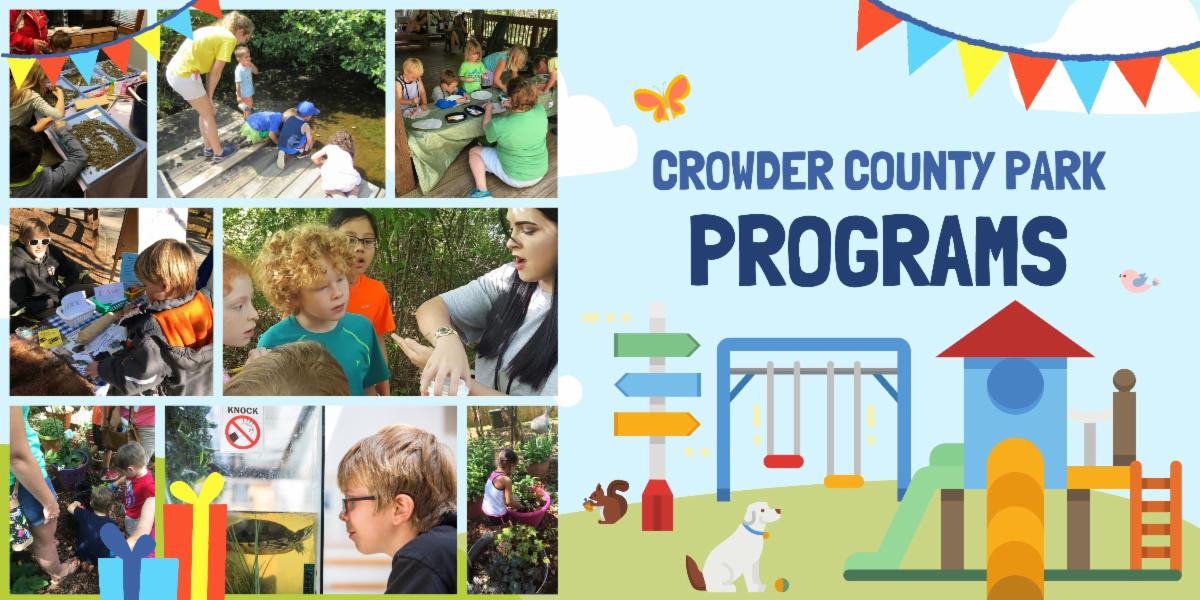 Blue Red and Yellow Cars  Construction Kids and Toddlers Birthday Banner.jpg