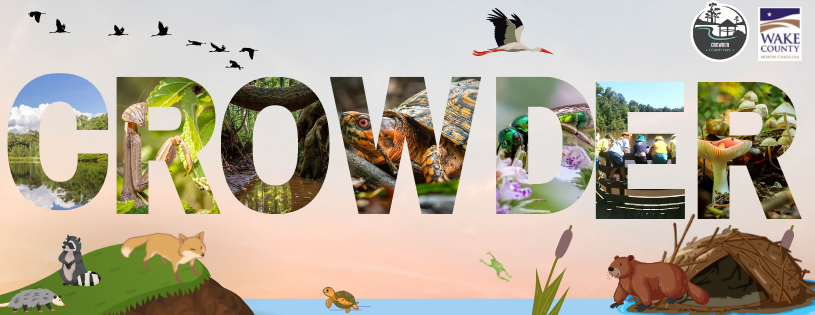 Copy of Yates Newsletter Haeder.png