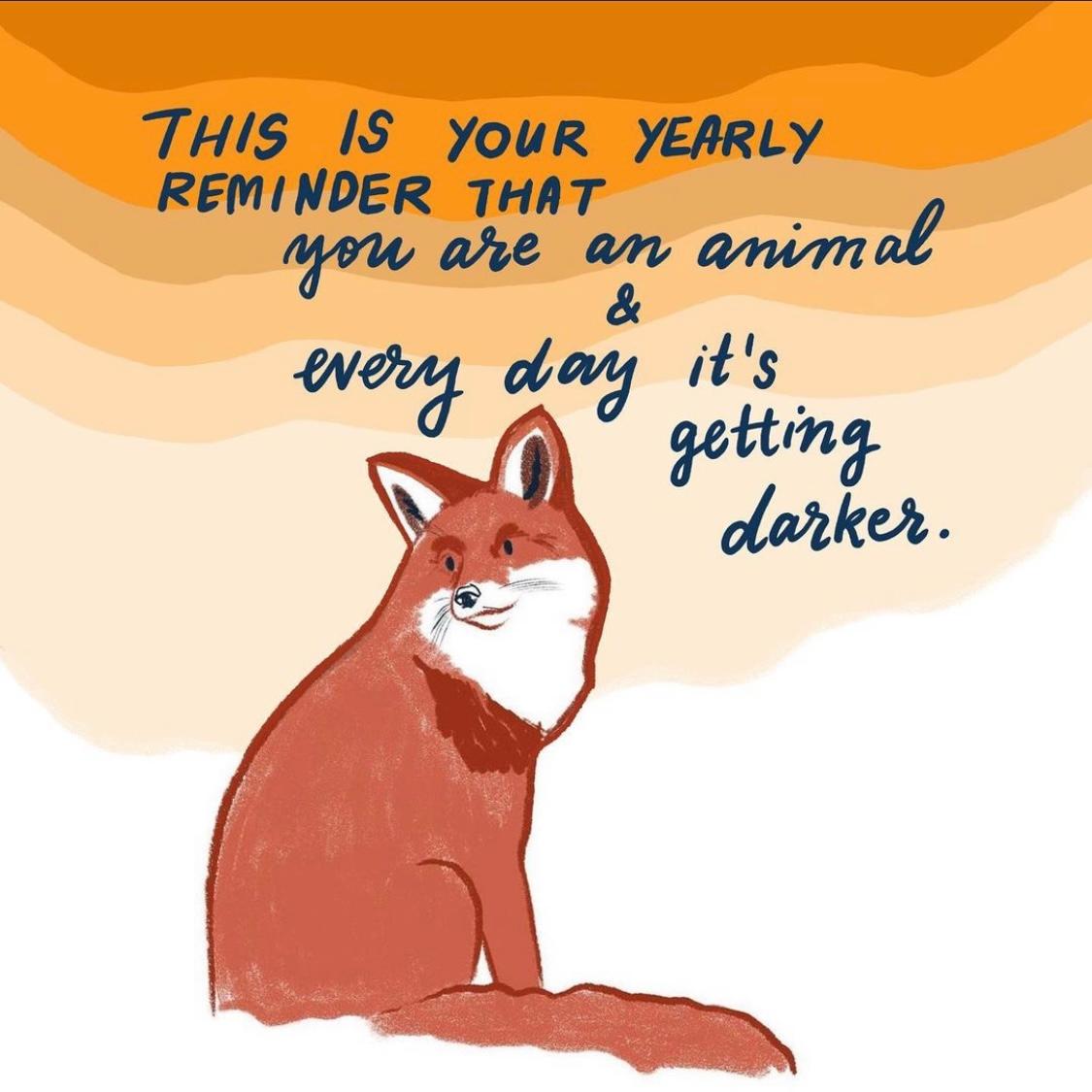 Thumbnail preview of an Instagram post. An illustration of a sitting fox on a blocked gradient background of warm tones. Text reads: This is your yearly reminder that you are an animal and every day it's getting darker.