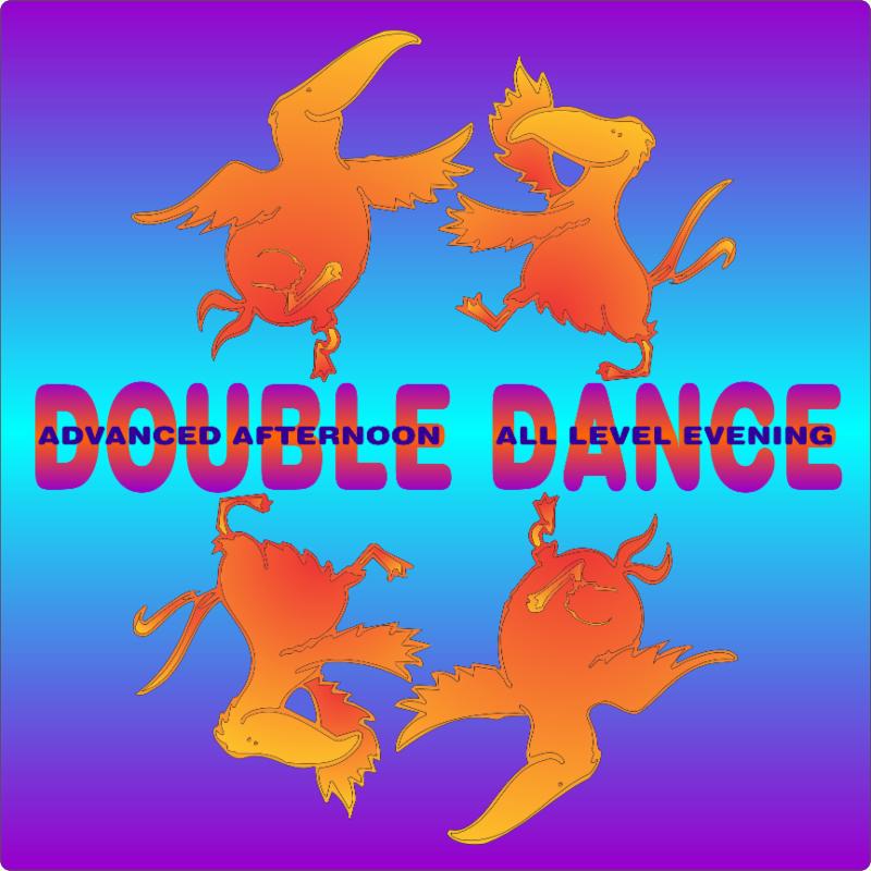 Tern Double Dance logo