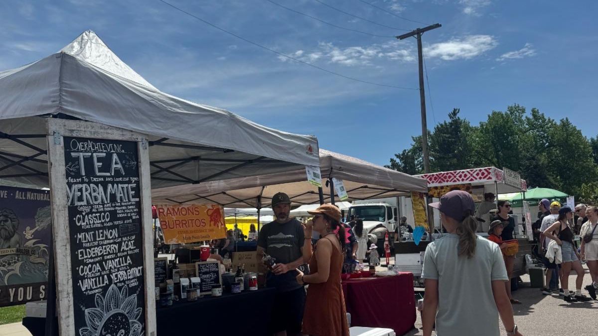 creek with water running and lush green
