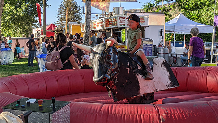 creek with water running and lush green