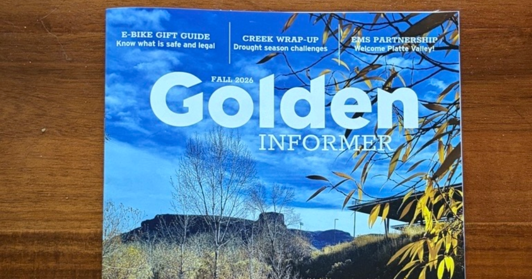 Cover of Golden Informer