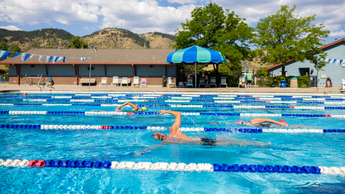 creek with water running and lush green
