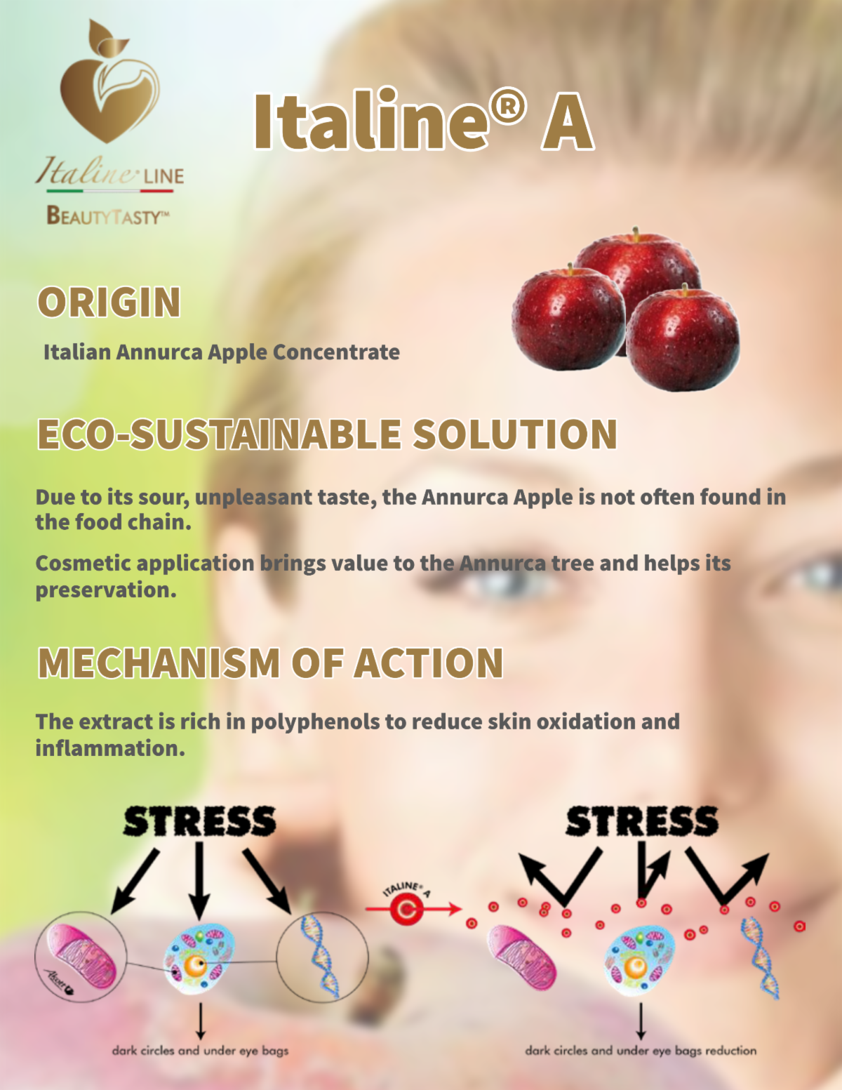 From Our Partner Akott Evolution An Apple A Day Keeps The Doctor From our partner akott evolution an apple a day keeps the doctor