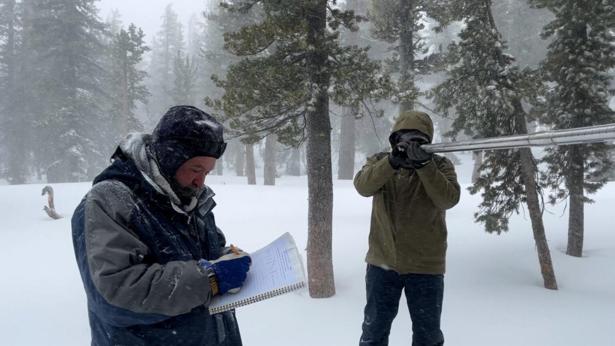 Two men in snow gear. One man has a notepad, and the other is utilizing a tool. Snow and forest trees are shown behind them. 