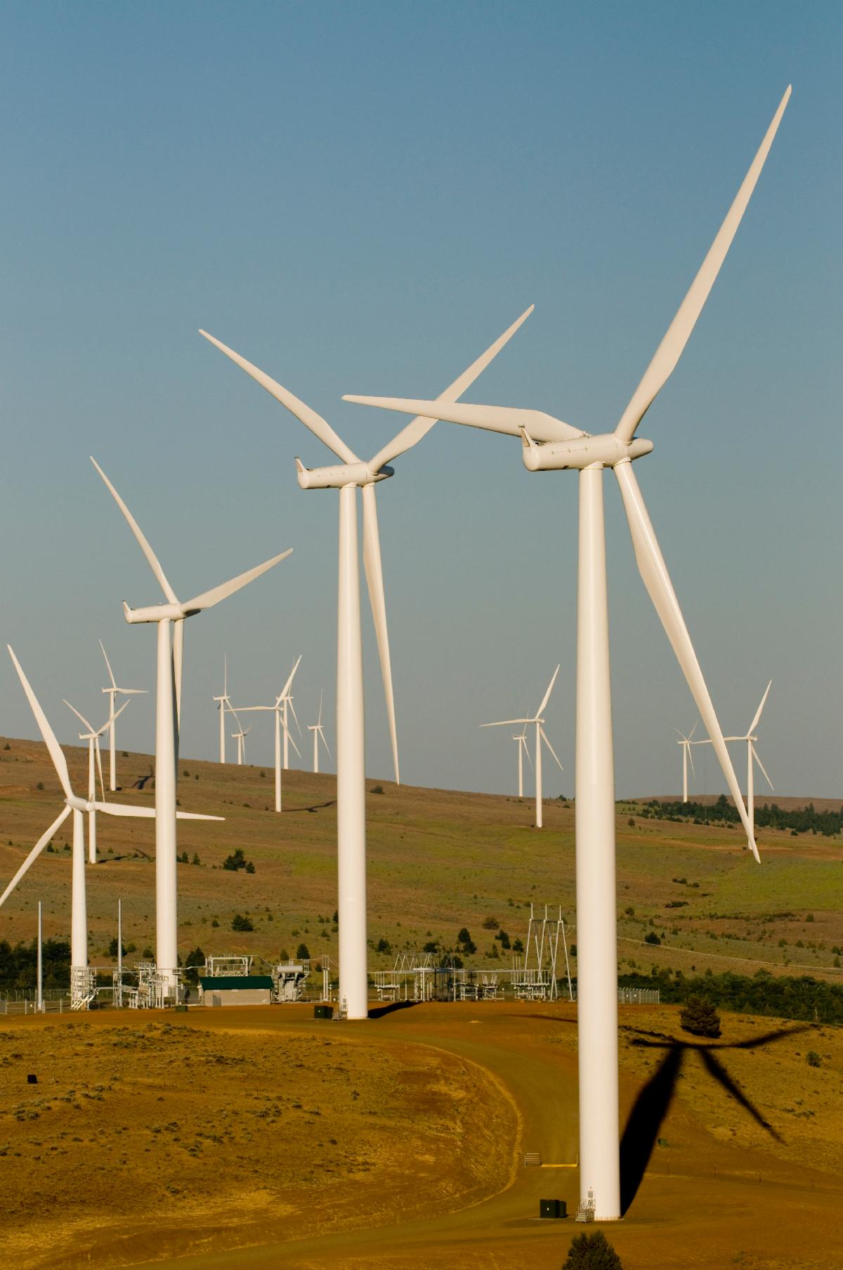 wind farm