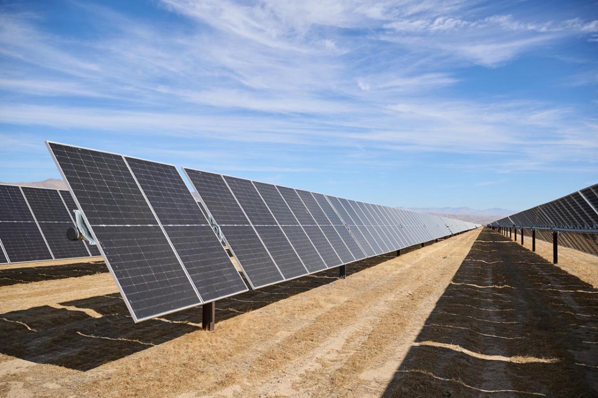 Photovoltaic Panels at the Eland Solar-plus-Energy Storage Center.