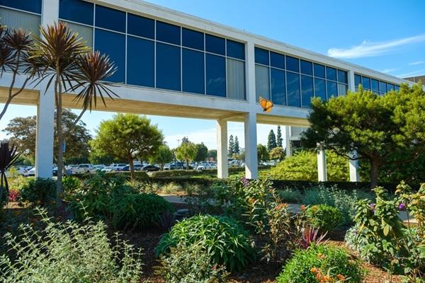 Plants trees and a butterfly flying by with a bridge like building and parked cars in the background. 