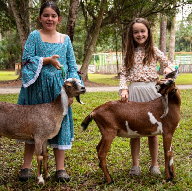 kids with goats