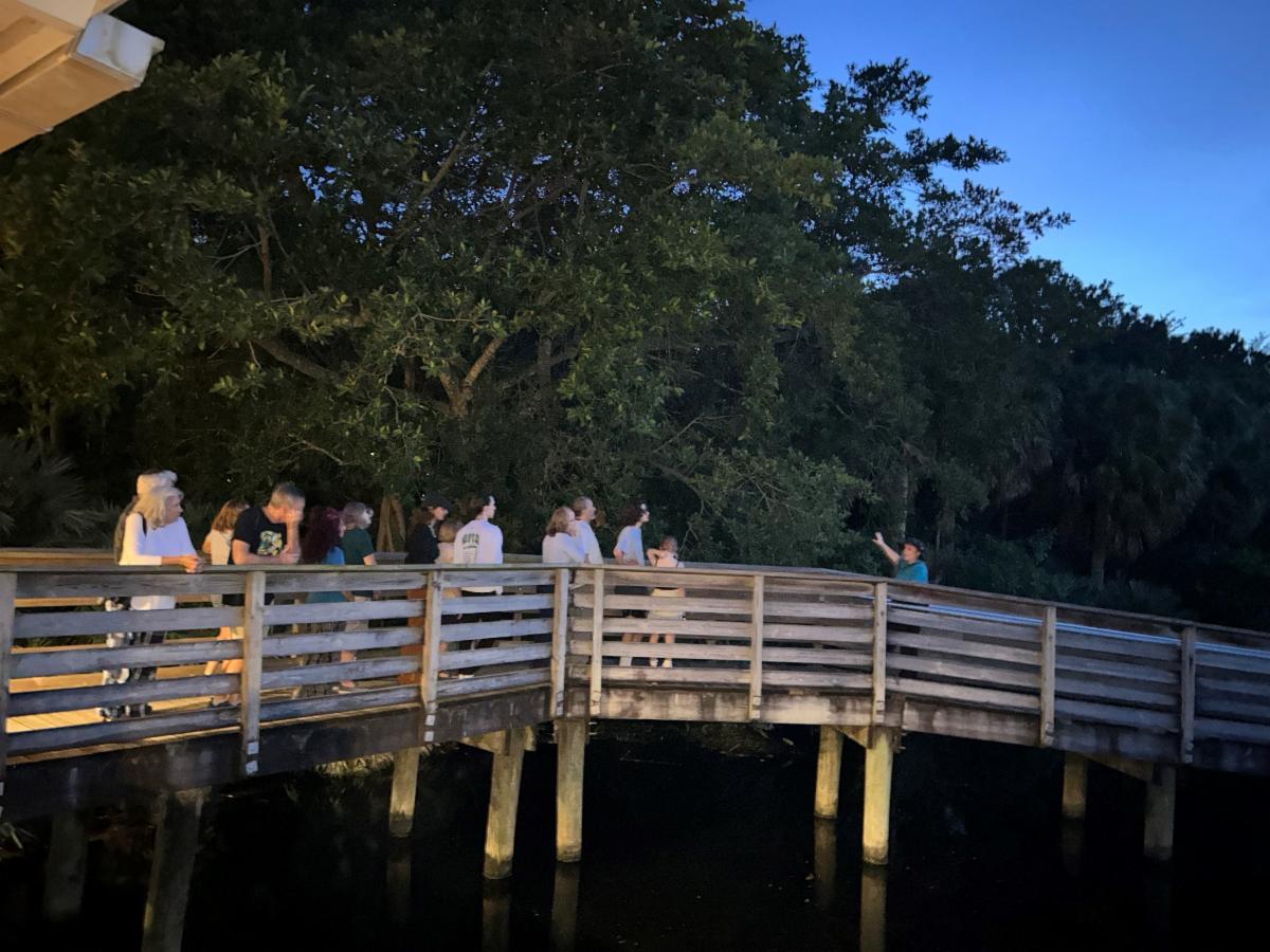 Image of a group of people walking on a bridge after dark