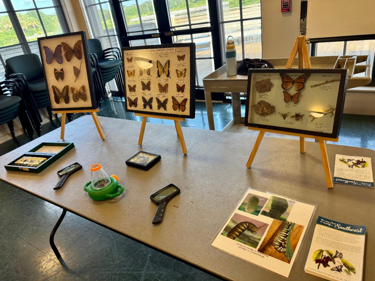 table top with nature related items on display