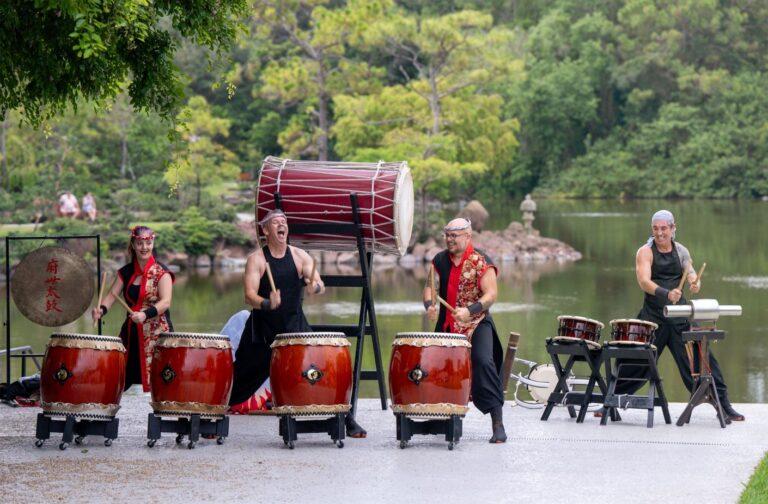 image of 4 people playing drums