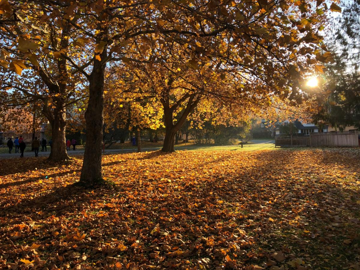 Fall at Naramata Centre
