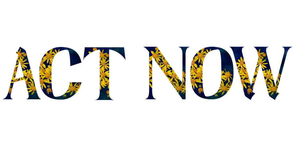 Words Act Now on weathered wood