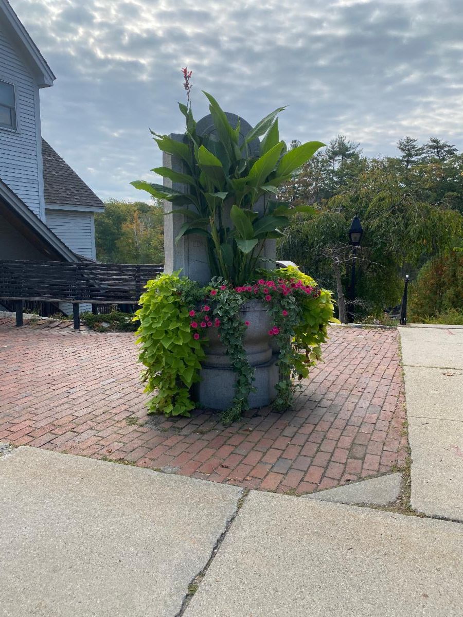 Town Administrator's Newsletter "Henniker Happenings"