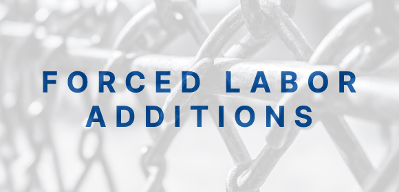 The words FORCED LABOR ADDITIONS over a background of a fence