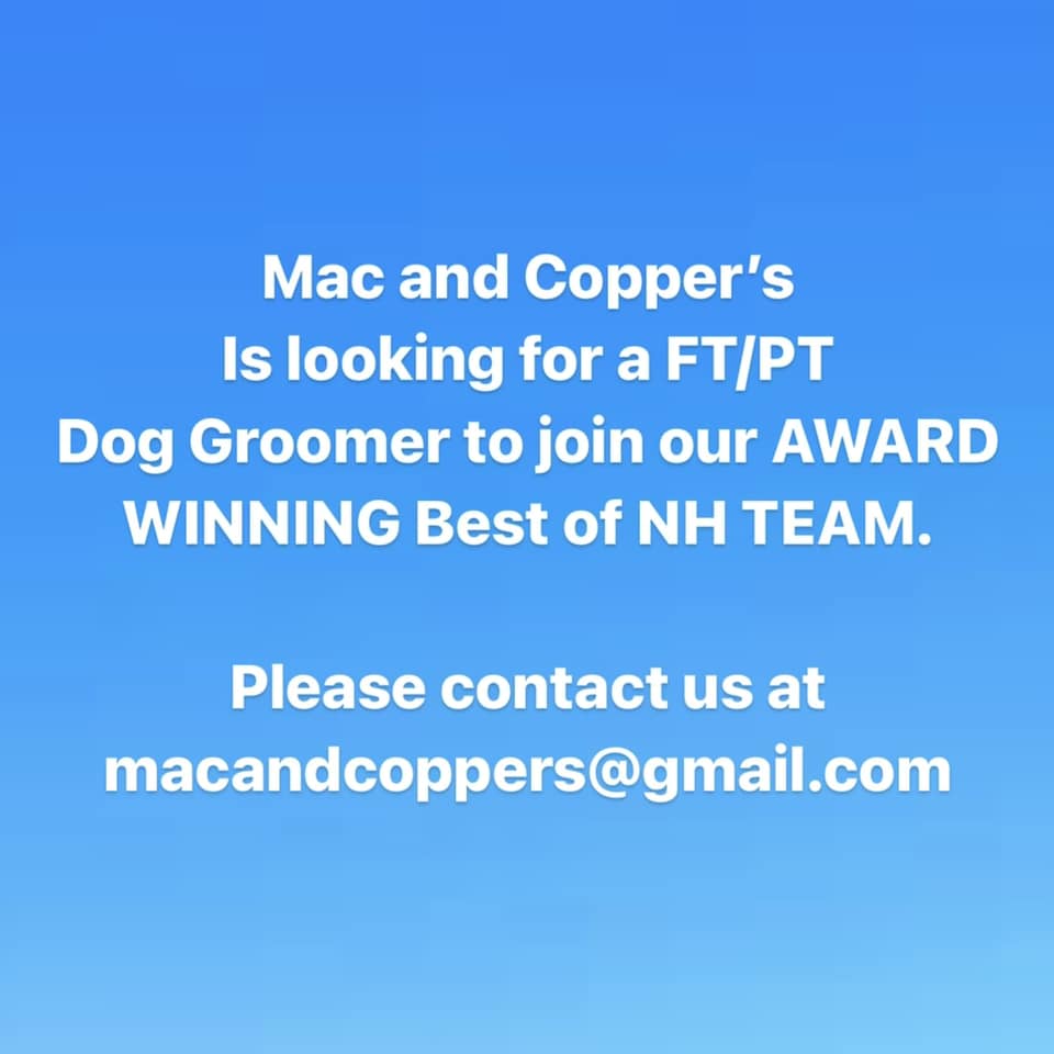 HIRING FT/PT GROOMERS TO JOIN TEAM