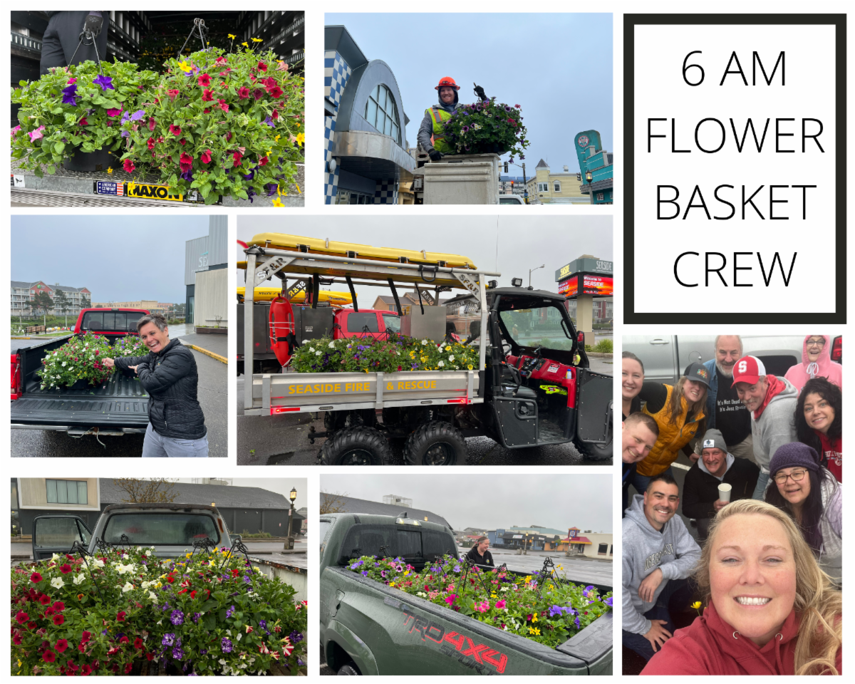 Colorful Summer Flower Photo Collage.png