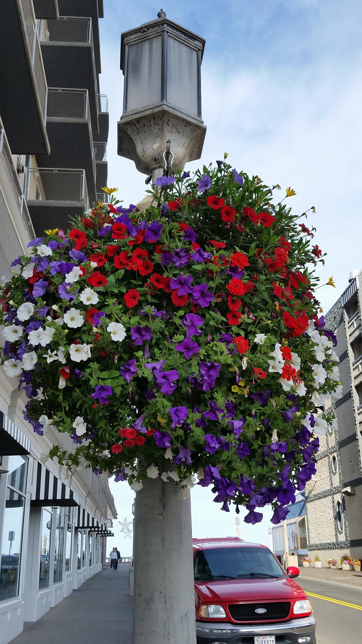 flower basket by terhars.jpg