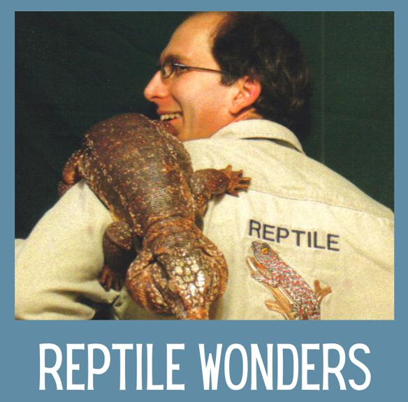Reptile Wonders